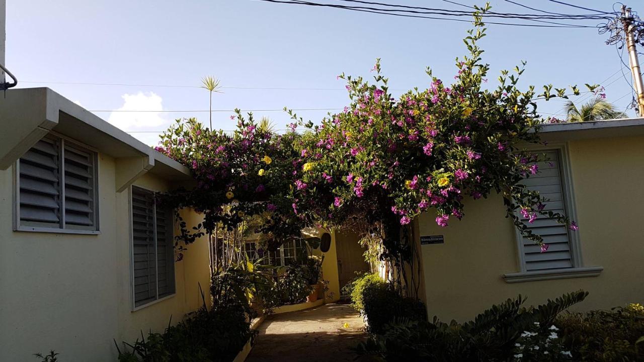 Kingston Cottage エクステリア 写真