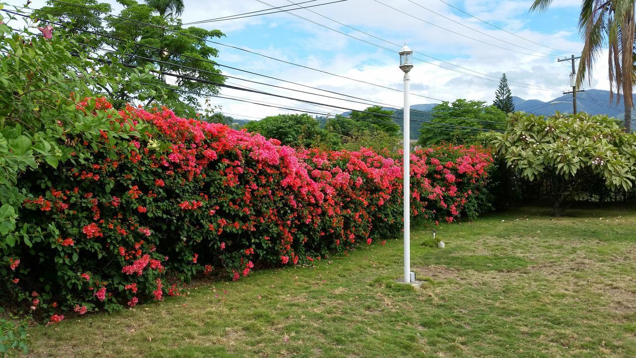 Kingston Cottage エクステリア 写真