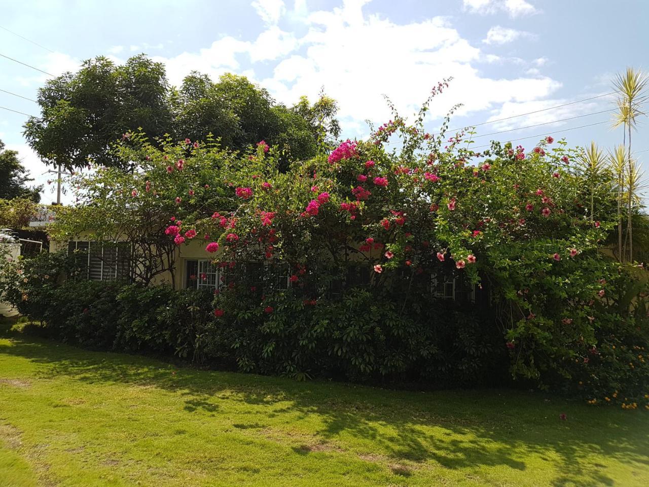 Kingston Cottage エクステリア 写真